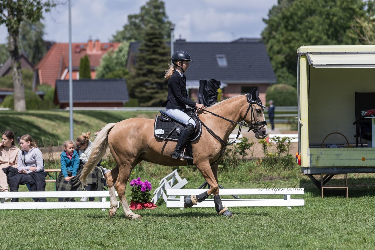 Bild 10 - Pony Akademie Turnier